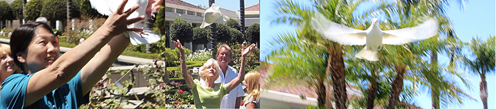 Liao Xinwen, leader of China's delegation to the 35th Anniversary of Diplomatic Relations, releases a white dove of peace outside the Nixon Library. She is followed immediately by Mary Roosevelt, the wife of the grandson of President Roosevelt.