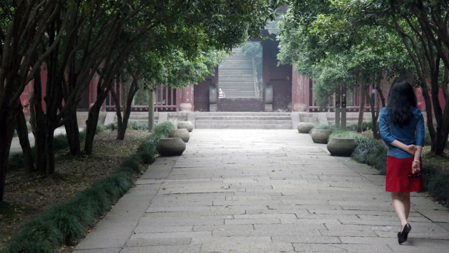 Shaoxing-26